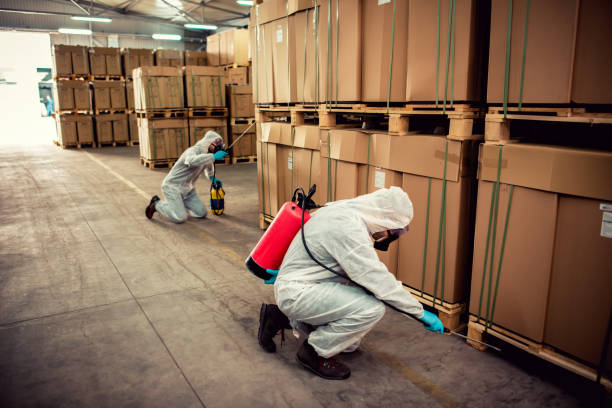 Best Rat Extermination Near Me  in Broussard, LA