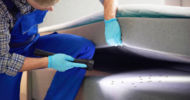 Flea Control Services in Broussard, LA