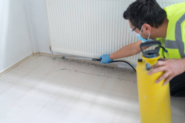 Best Pest Control for Businesses  in Broussard, LA
