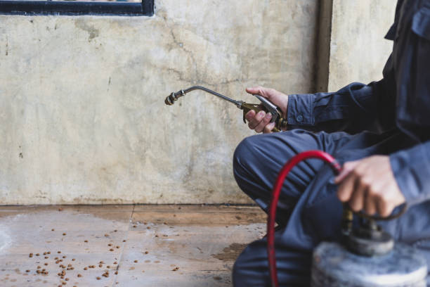 Best Commercial Pest Control Services  in Broussard, LA
